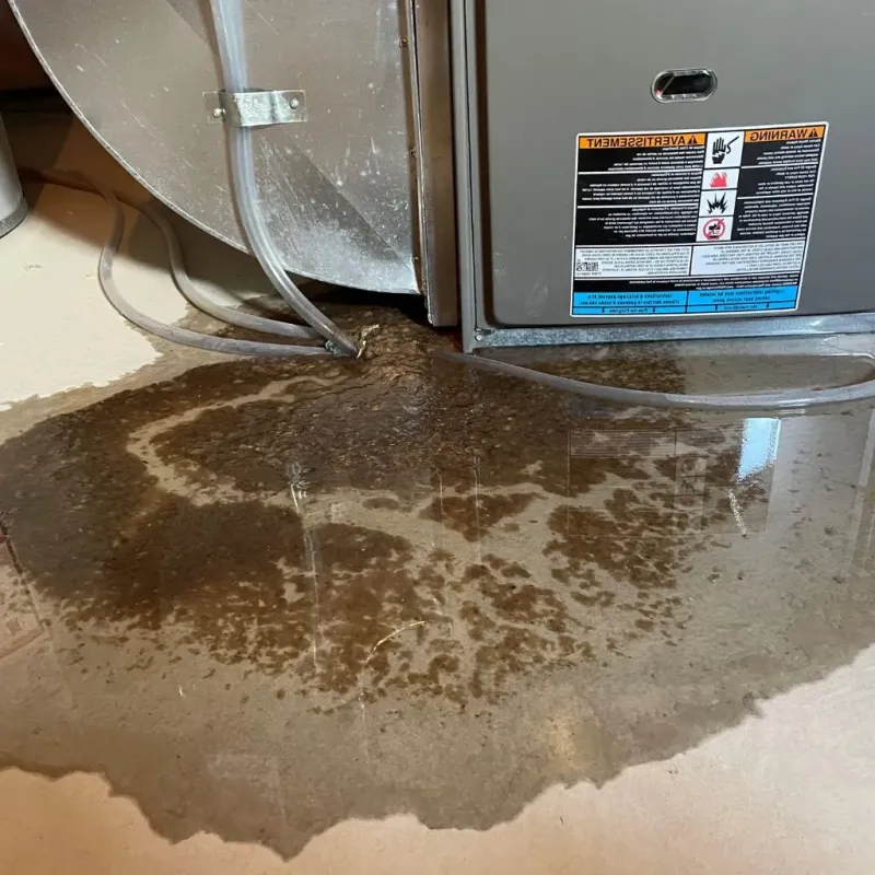 Pipe Burst and Leak Restoration in Lynn, MA